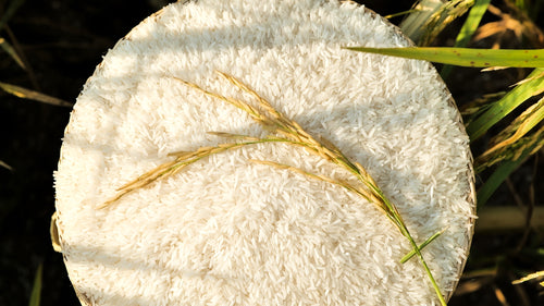 Premium Cambodian Jasmine Rice